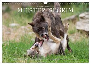 Meister Isegrim (Wandkalender 2024 DIN A3 quer), CALVENDO Monatskalender von Gerlach GDT,  Ingo