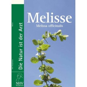 Melisse – Melissa officinalis