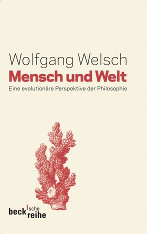 Mensch und Welt von Welsch,  Wolfgang