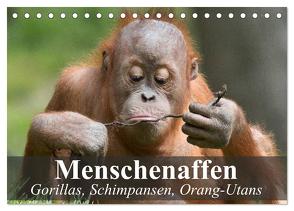 Menschenaffen. Gorillas, Schimpansen, Orang-Utans (Tischkalender 2024 DIN A5 quer), CALVENDO Monatskalender von Stanzer,  Elisabeth