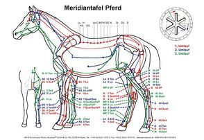 Meridiantafel Pferd von Krause,  Ingrid Uta