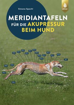 Meridiantafeln für die Akupressur beim Hund von Specht,  Simone