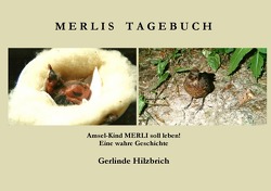 Merlis Tagebuch von Hilzbrich,  Gerlinde