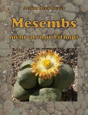 Mesembs – mehr als nur Lithops von Hecktheuer,  Achim