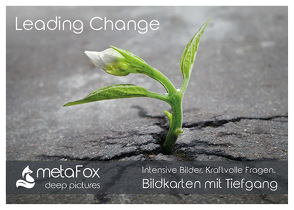 metaFox deep pictures – Leading Change