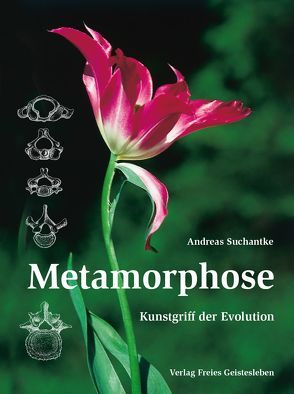 Metamorphose von Suchantke,  Andreas