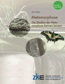 Metamorphose: Lern-DVD von Gnehm,  Res