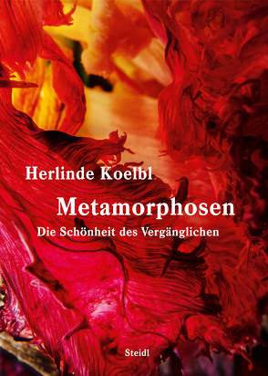 Metamorphosen / Metamorphoses von Koelbl,  Herlinde