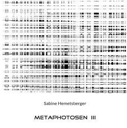 Metaphotosen III von Hemetsberger,  Sabine