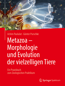 Metazoa – Morphologie und Evolution der vielzelligen Tiere von Paululat,  Achim, Purschke,  Günter