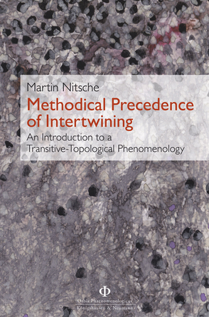 Methodical Precedence of Intertwining von Nitsche,  Martin, Sevecek,  Ondrej