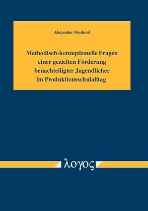 Methodisch-konzeptionelle Fragen einer gezielten Förderung benachteiligter Jugendlicher im Produktionsschulalltag von Meshoul,  Alexander