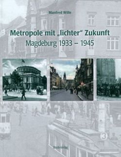 Metropole mit „lichter“ Zukunft von Wille,  Manfred