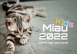 Miau Kids – kleine Tiger ganz groß – Der Katzenkalender – 2022 – Kalender DIN A2