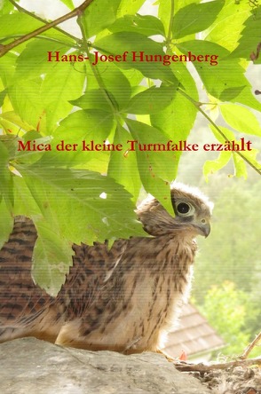 Mica der kleine Turmfalke erzählt von Hungenberg,  Hans- Josef