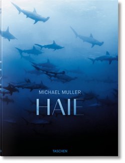 Michael Muller. Haie. Auge in Auge mit den gefährdeten Räubern der Meere von Cousteau,  Jr.,  Philippe, Kock,  Dr. Alison, Müller,  Michael, Nelson,  Arty