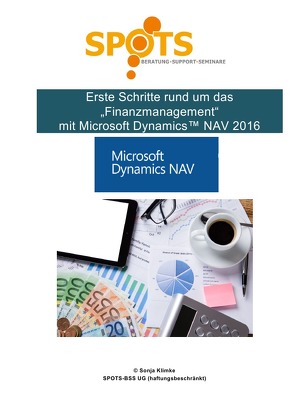 Microsoft Dynamics™ NAV2016 / Erste Schritte rund um Finanzwesen mit Microsoft Dynamics™ NAV2016/Bd. 6 von Klimke,  Sonja