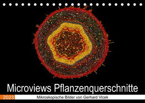Microviews – Pflanzenquerschnitte (Tischkalender 2023 DIN A5 quer) von Vlcek,  Gerhard