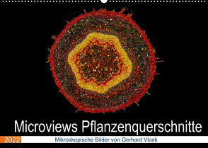 Microviews – Pflanzenquerschnitte (Wandkalender 2022 DIN A2 quer) von Vlcek,  Gerhard
