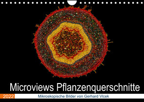 Microviews – Pflanzenquerschnitte (Wandkalender 2022 DIN A4 quer) von Vlcek,  Gerhard