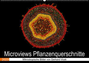 Microviews – Pflanzenquerschnitte (Wandkalender 2023 DIN A2 quer) von Vlcek,  Gerhard