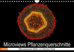 Microviews – Pflanzenquerschnitte (Wandkalender 2023 DIN A4 quer) von Vlcek,  Gerhard