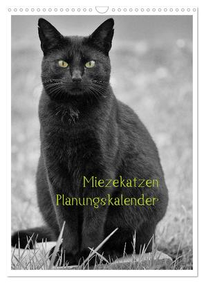 Miezekatzen Planungskalender (Wandkalender 2024 DIN A3 hoch), CALVENDO Monatskalender von Zitzler,  Hans