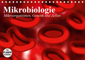 Mikrobiologie. Mikroorganismen, Genetik und Zellen (Tischkalender 2021 DIN A5 quer) von Stanzer,  Elisabeth