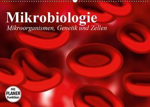 Mikrobiologie. Mikroorganismen, Genetik und Zellen (Wandkalender 2019 DIN A2 quer) von Stanzer,  Elisabeth