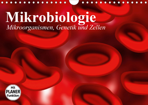 Mikrobiologie. Mikroorganismen, Genetik und Zellen (Wandkalender 2021 DIN A4 quer) von Stanzer,  Elisabeth