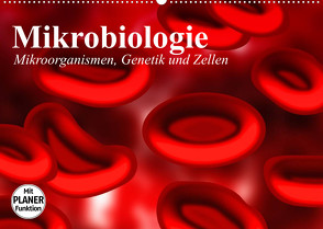 Mikrobiologie. Mikroorganismen, Genetik und Zellen (Wandkalender 2023 DIN A2 quer) von Stanzer,  Elisabeth
