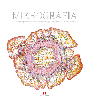 MikroGrafia – Pflanzenquerschnitte unter dem Mikroskop – Gerhard Vlcek – Kalender 2024 von Vlcek,  Gerhard