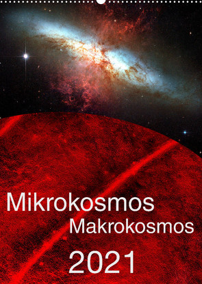 Mikrokosmos – Makrokosmos (Wandkalender 2022 DIN A2 hoch) von Richter,  Hardy