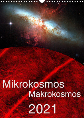 Mikrokosmos – Makrokosmos (Wandkalender 2022 DIN A3 hoch) von Richter,  Hardy