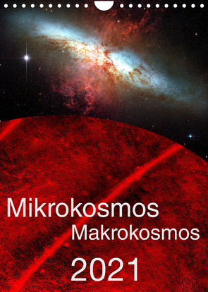 Mikrokosmos – Makrokosmos (Wandkalender 2022 DIN A4 hoch) von Richter,  Hardy