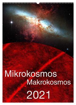 Mikrokosmos – Makrokosmos (Wandkalender 2024 DIN A2 hoch), CALVENDO Monatskalender von Richter,  Hardy