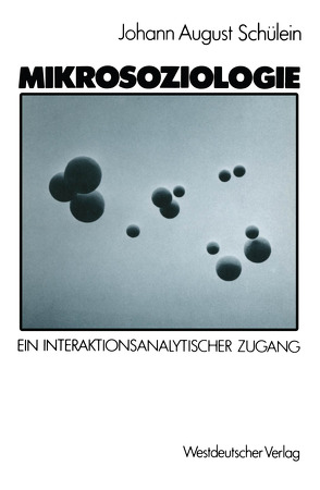 Mikrosoziologie von Schülein,  Johann August