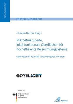 Mikrostrukturierte, lokal-funktionale Oberflächen für hocheffiziente Beleuchtungssysteme von Brecher,  Christian