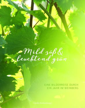 Mild süß & leuchtend grün von Rothenburger,  Carolin