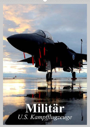 Militär. U.S. Kampfflugzeuge (Wandkalender 2023 DIN A2 hoch) von Stanzer,  Elisabeth
