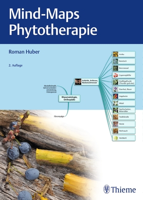 Mind-Maps Phytotherapie von Huber,  Roman