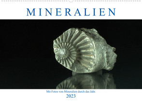Mineralien (Wandkalender 2023 DIN A2 quer) von Eckert,  Ralf