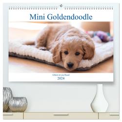 Mini Goldendoodle – Glück ist ein Hund (hochwertiger Premium Wandkalender 2024 DIN A2 quer), Kunstdruck in Hochglanz von Schulz,  Stephan