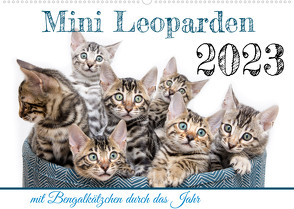 Mini Leoparden – mit Bengalkätzchen durch das Jahr (Wandkalender 2023 DIN A2 quer) von - Sylke Enderlein,  Bethari