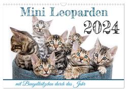 Mini Leoparden – mit Bengalkätzchen durch das Jahr (Wandkalender 2024 DIN A3 quer), CALVENDO Monatskalender von - Sylke Enderlein,  Bethari
