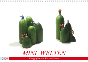 MINI WELTEN (Wandkalender 2020 DIN A3 quer) von Thiele,  Karsten