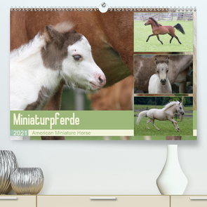 Miniaturpferde – American Miniature Horse (Premium, hochwertiger DIN A2 Wandkalender 2021, Kunstdruck in Hochglanz) von Mielewczyk,  Barbara
