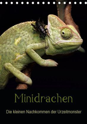 Minidrachen – Die kleinen Nachkommen der Urzeitmonster (Tischkalender 2019 DIN A5 hoch) von Enkemeier,  Sigrid