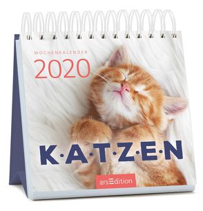 Miniwochenkalender Katzenglück 2020 – kleiner Aufstellkalender mit Wochenkalendarium