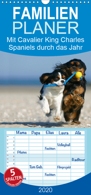 Mit Cavalier King Charles Spaniels durch das Jahr – Familienplaner hoch (Wandkalender 2020 , 21 cm x 45 cm, hoch) von Wegner,  Petra